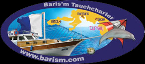 Basilk